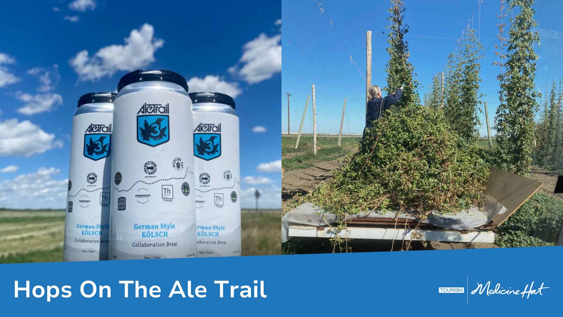 Hops on the Ale Trail